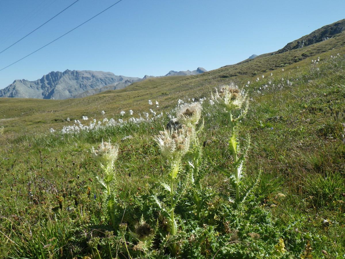 Apart-Garni Motnaida Samnaun Exteriör bild